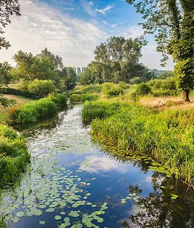 Open countryside with trees in the distance